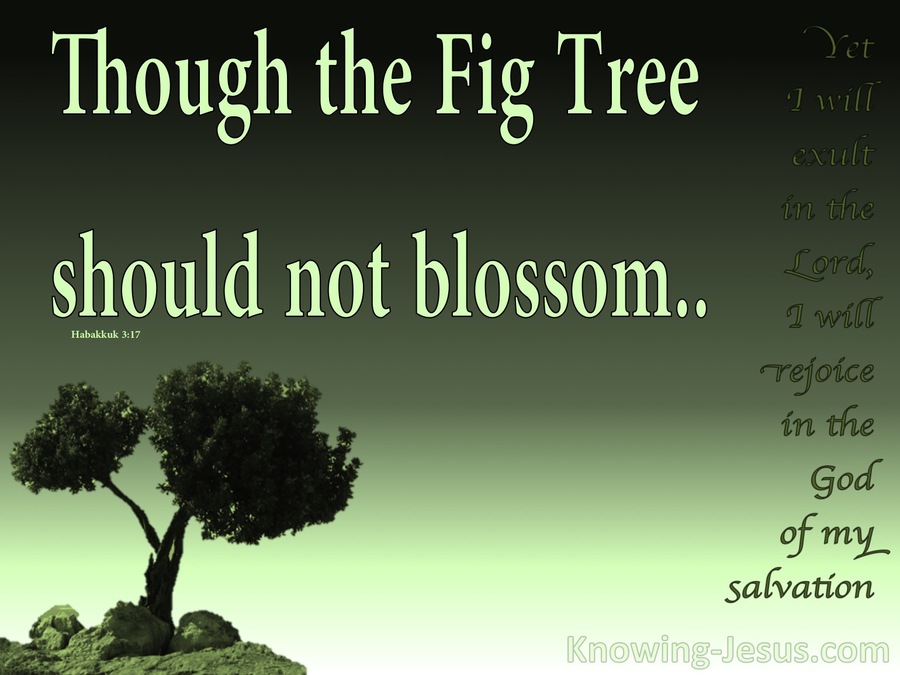 Habakkuk 3:17 Though The Fig tree Should Not Blossom (green)